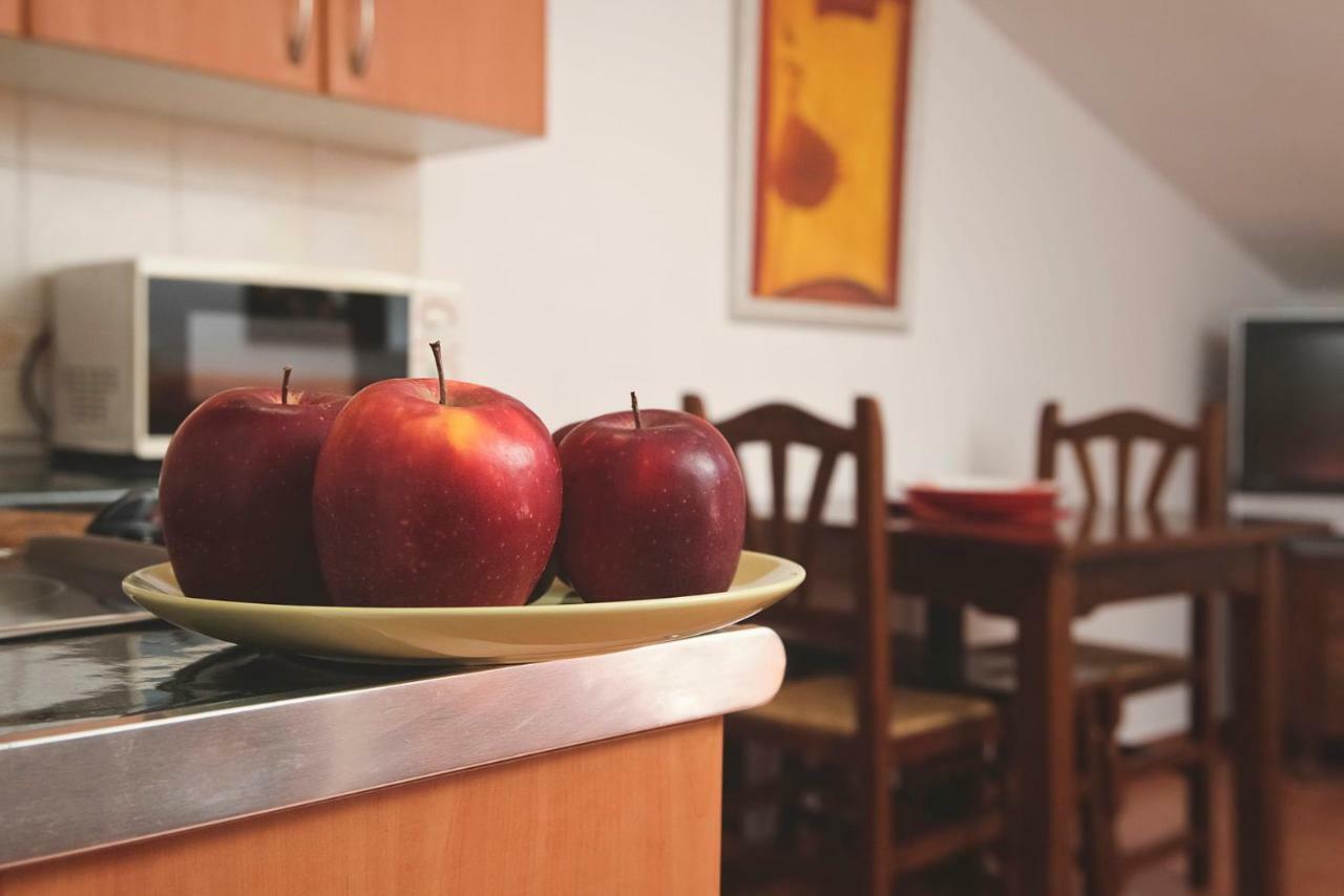 Apartamento 1 Casa Rural El Sauce. A 2,5 Km De Cuenca Capital Nohales Екстериор снимка